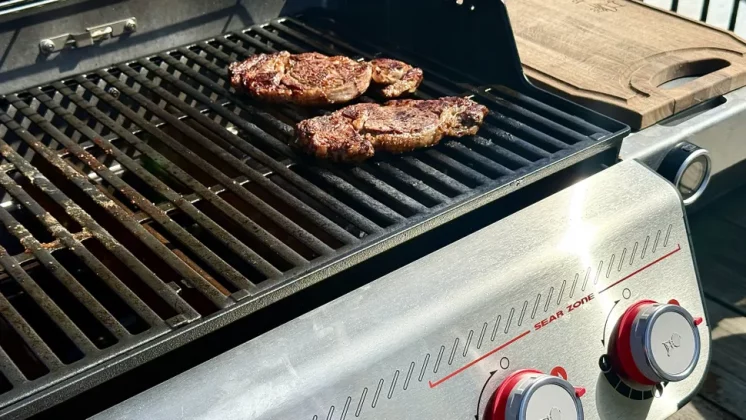Weber Spirit E-425-5