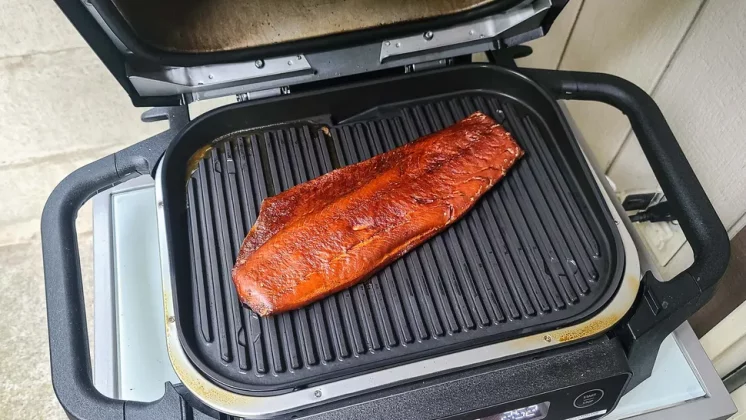Ninja Woodfire Outdoor Grill-3